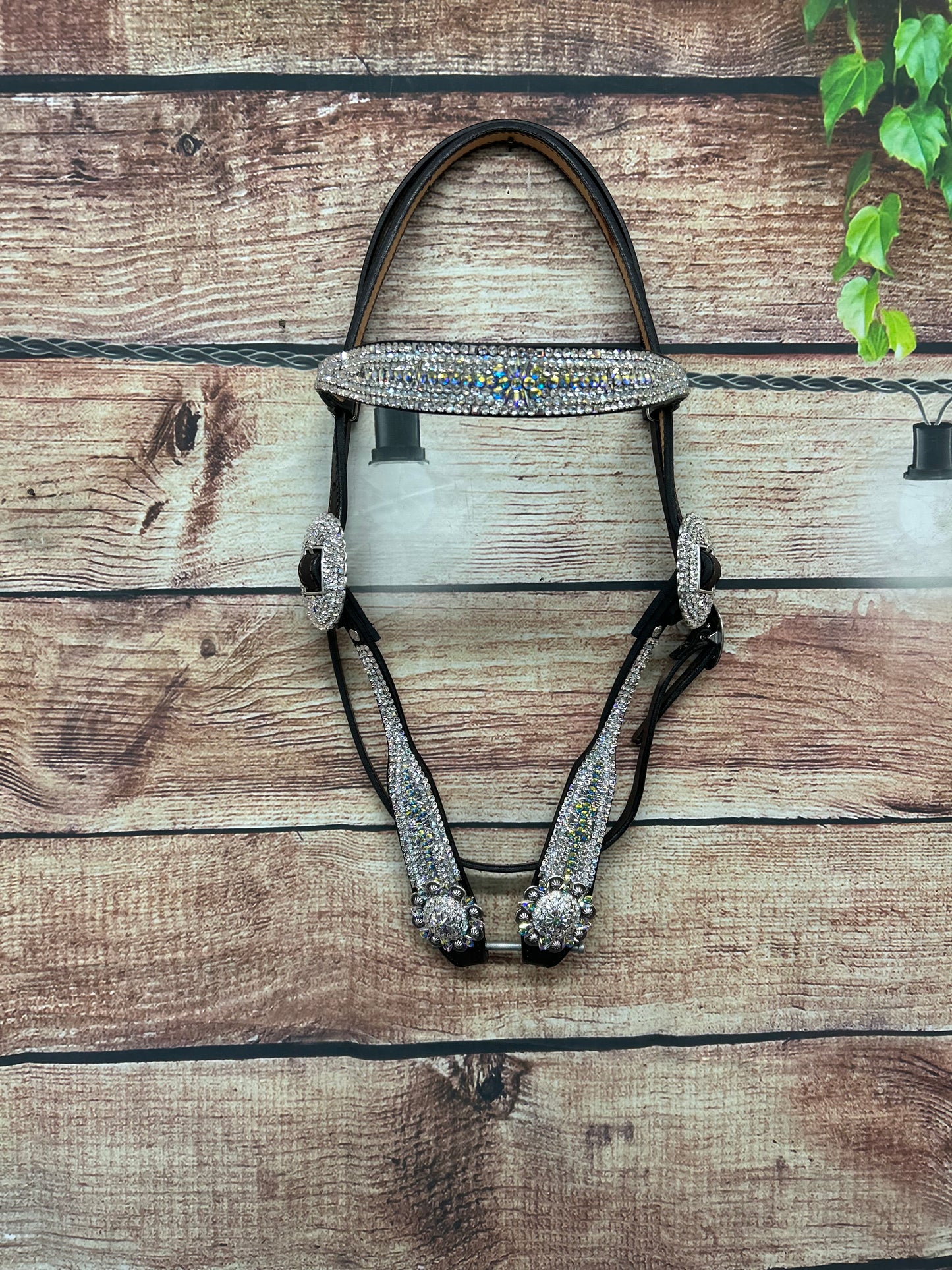Aprils headstall