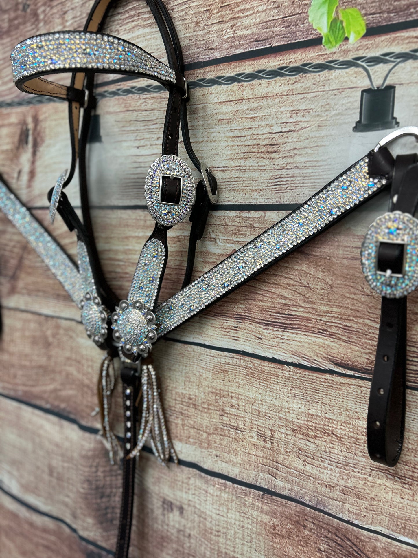 Turtle Tracks Iced Straight set