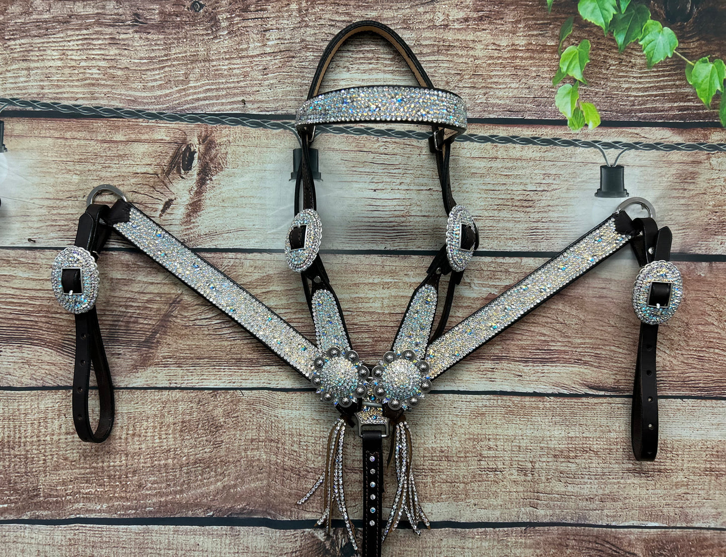 Turtle Tracks Iced Straight set