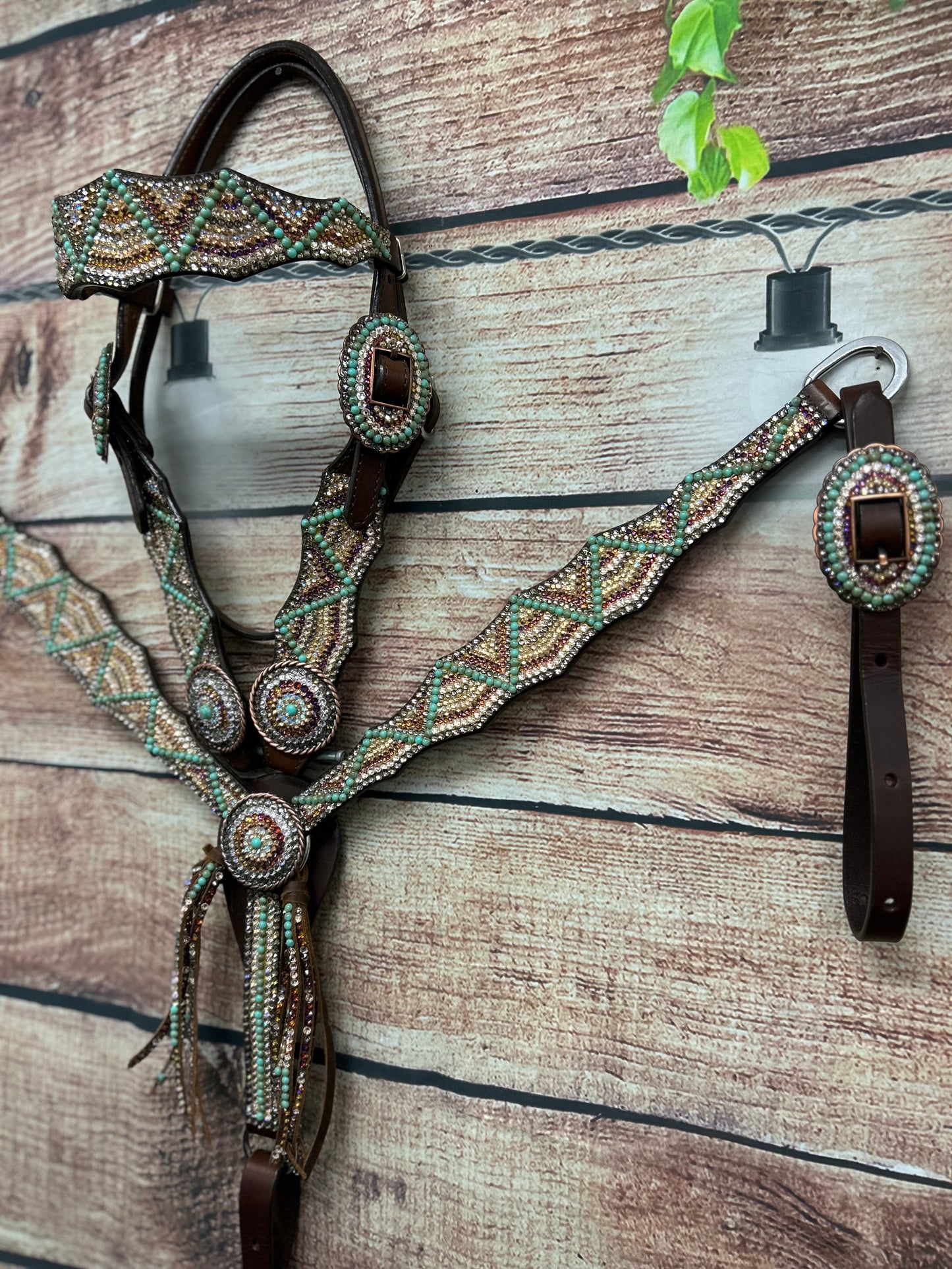 Turqs and Caicos NFR set