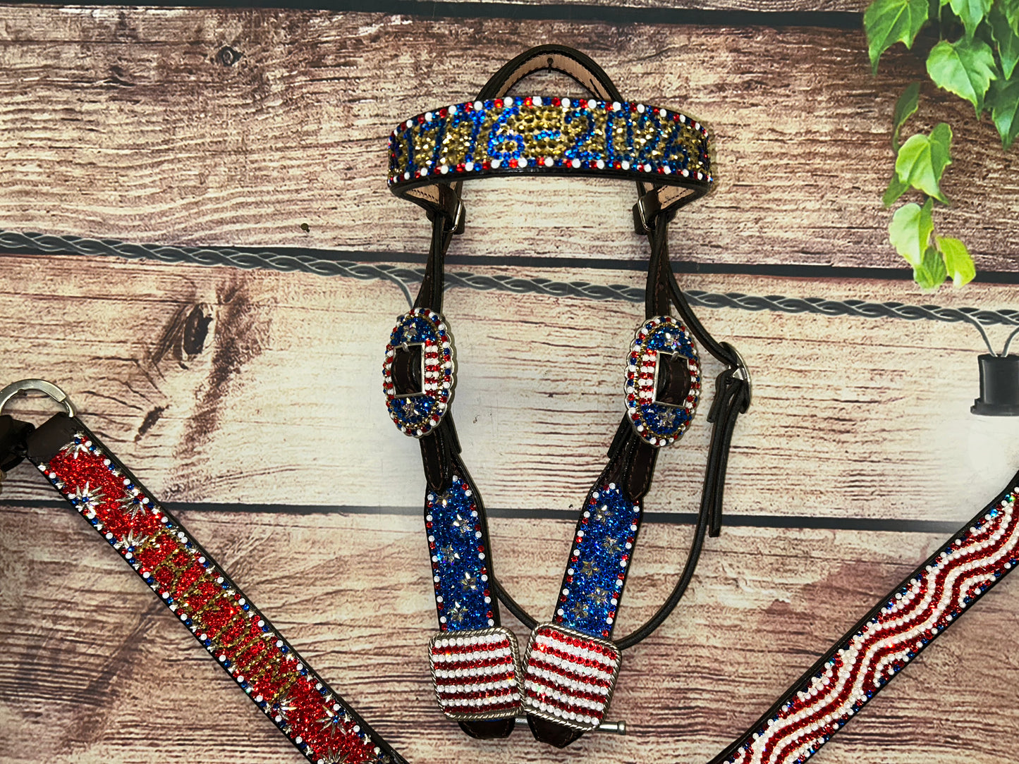 Freedom, Celebrating the 250th