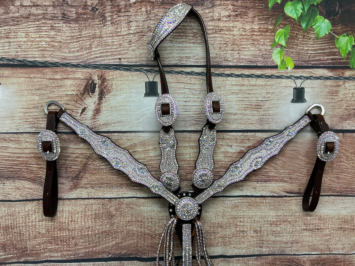 The Classic ICED OUT NFR one ear Set