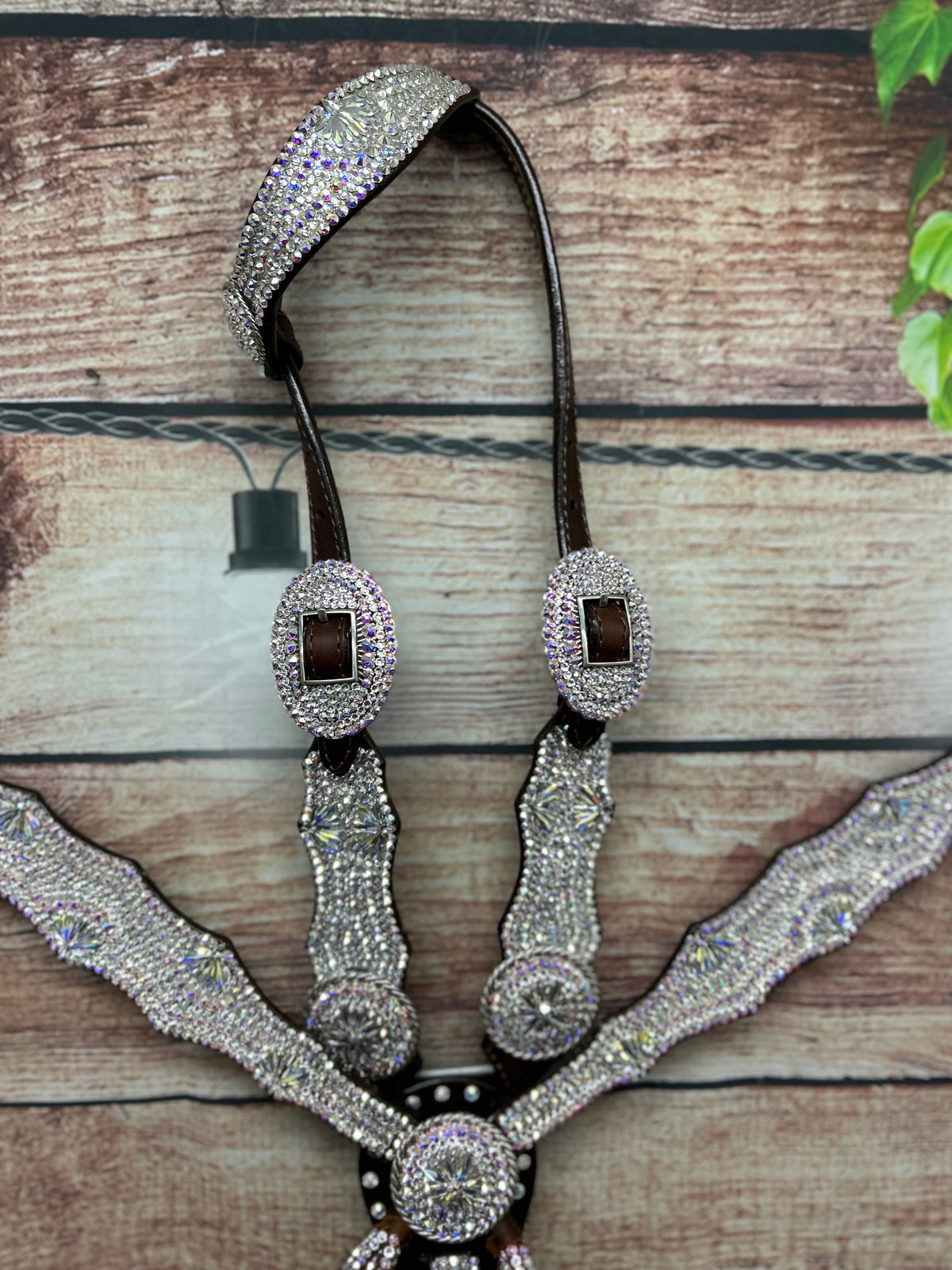 The Classic ICED OUT NFR one ear Set